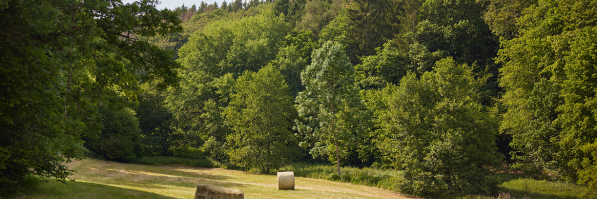 MagicBreaks Overview carousel banner