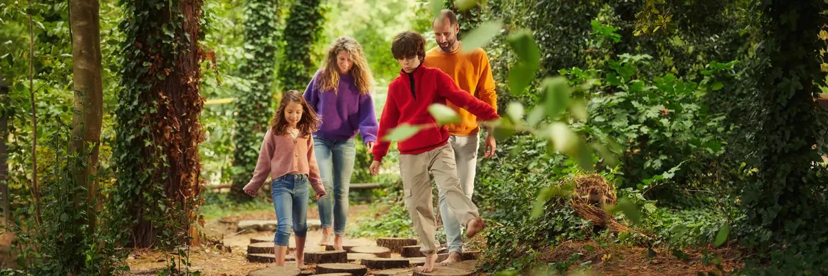 MagicBreaks General carousel banner