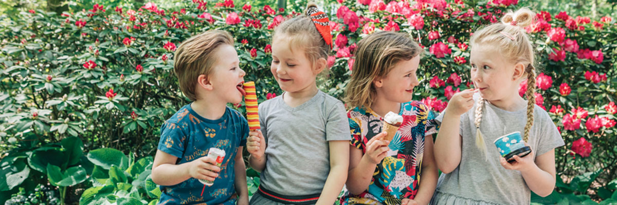 MagicBreaks comida carousel banner