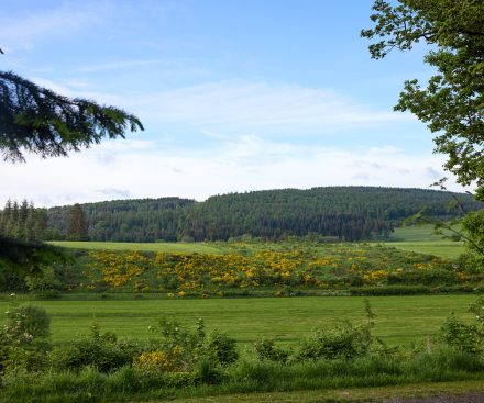 MagicBreaks Dining carousel banner