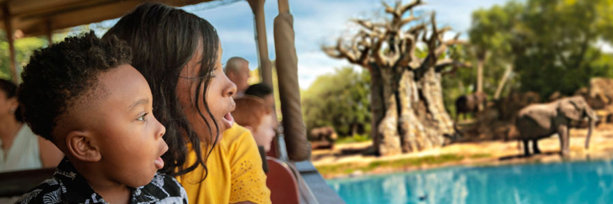 MagicBreaks FAQS carousel banner