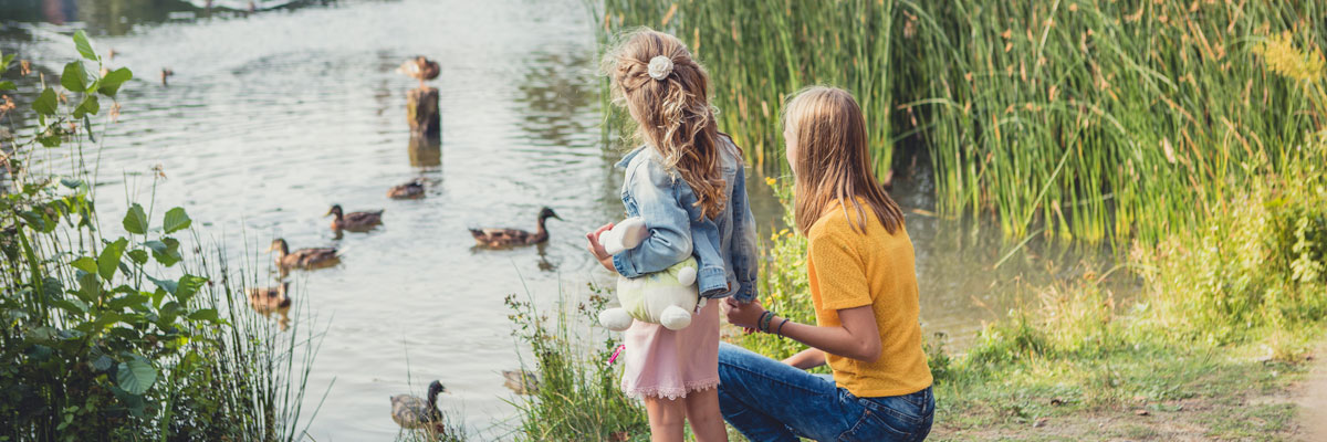 MagicBreaks descripción general carousel banner