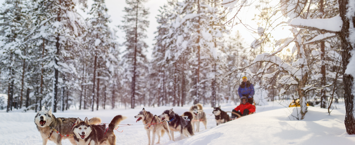 Magical holiday to Santa’s Lapland