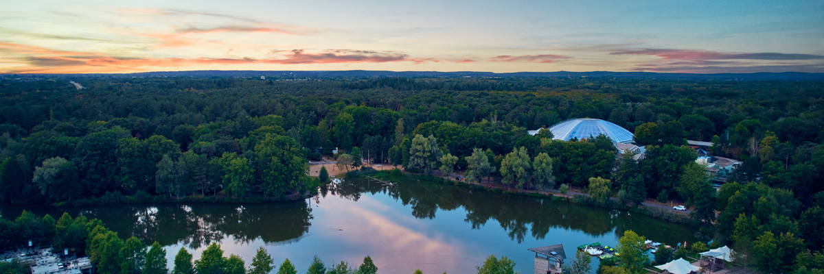 MagicBreaks El Heijderbos carousel banner