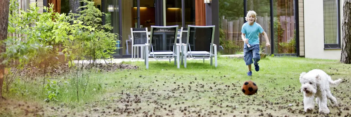 MagicBreaks Facilities and Activities for Dogs carousel banner