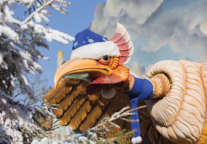 MagicBreaks OFERTAS DE VACACIONES ESCOLARES EFTELING carousel banner