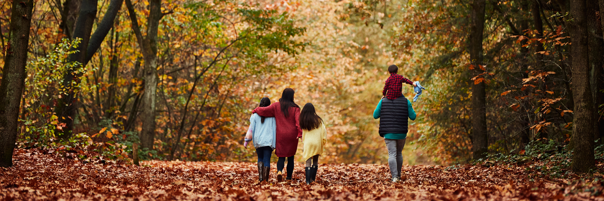 MagicBreaks Ofertas especiales carousel banner