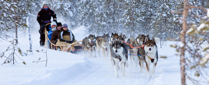 NEW! Experiences by MagicBreaks