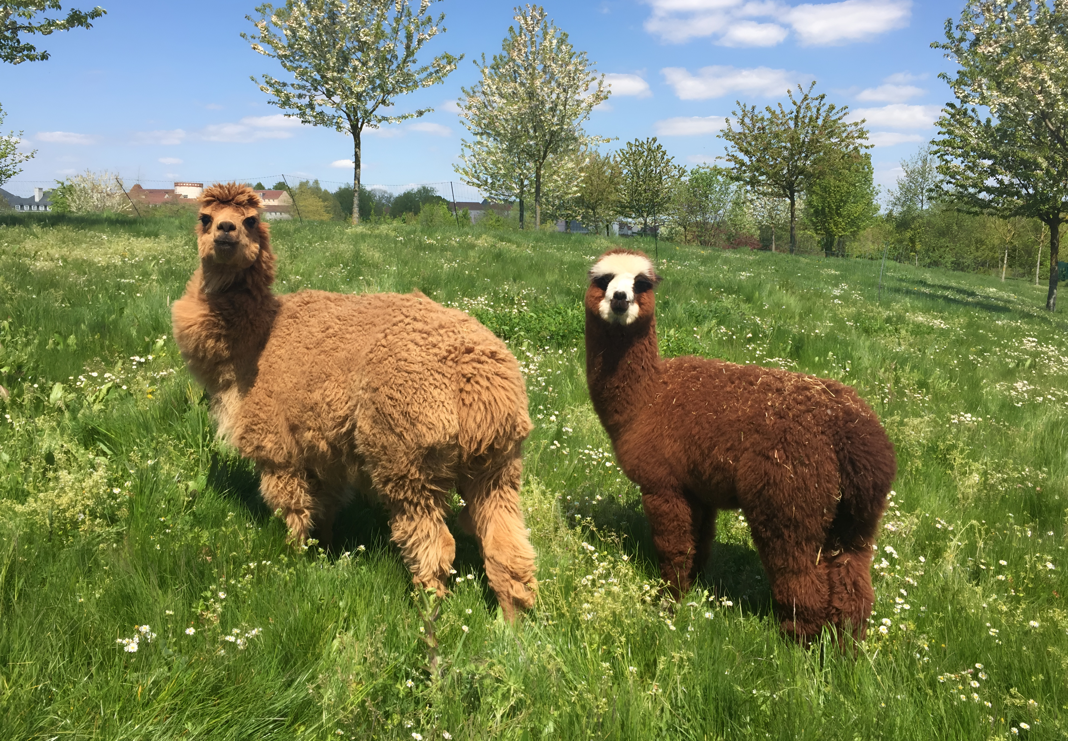 MagicBreaks Fantásticas instalaciones del hotel carousel banner