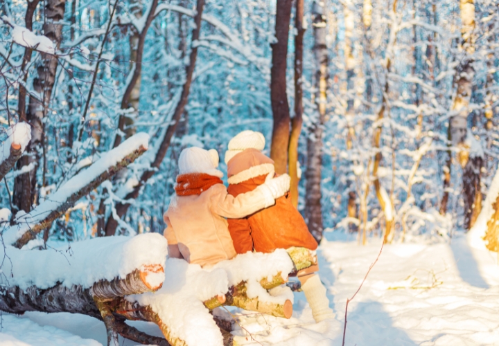 MagicBreaks ¡Vive la magia de Laponia desde 599 £! carousel banner