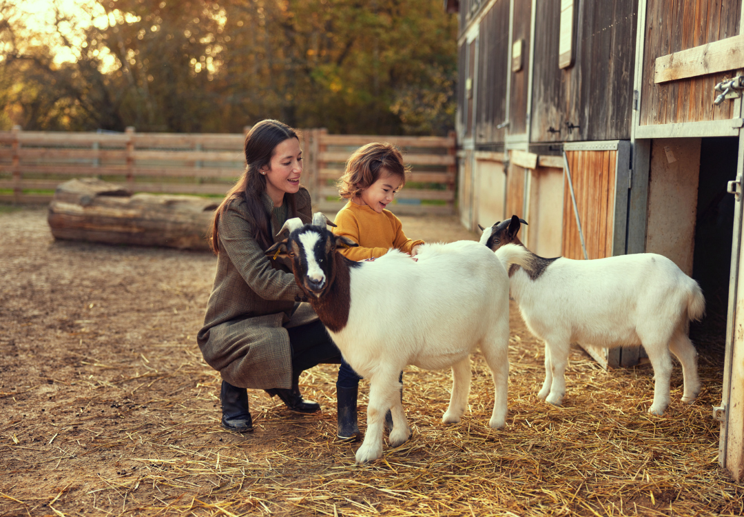MagicBreaks ¡Increíble descuento del 20% por reserva anticipada! banner del carrusel
