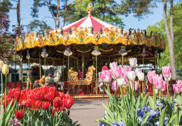 MagicBreaks OFERTAS DE VACACIONES ESCOLARES EFTELING carousel banner